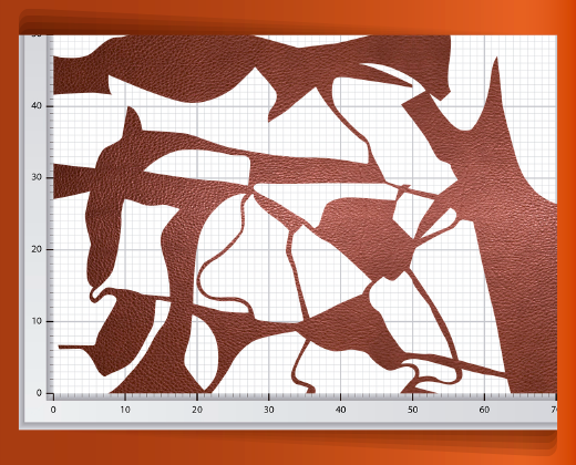 pedaceria-de-piel-en-red-30