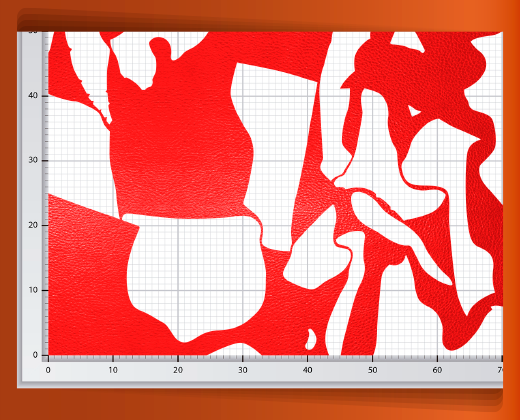 pedaceria-de-piel-en-red-46