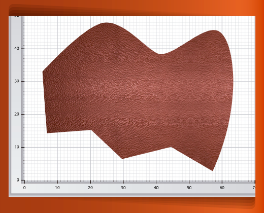 pedaceria-de-piel-grande-31