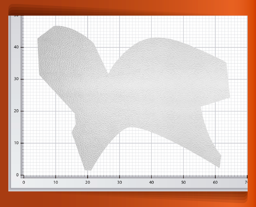 pedaceria-de-piel-grande-39